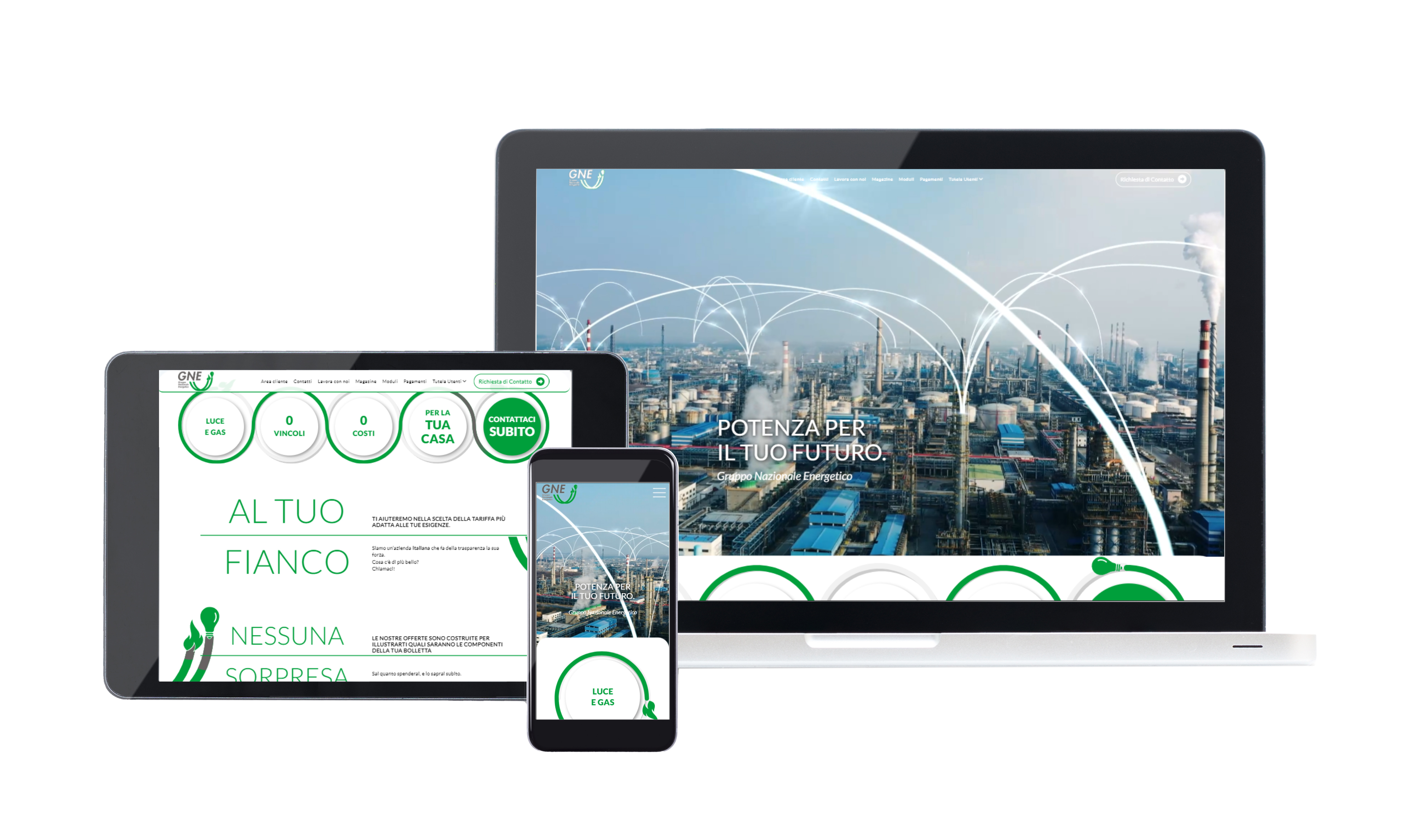 Sito web Gruppo Nazionale Energetico