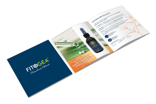 Catalogo Fitogea